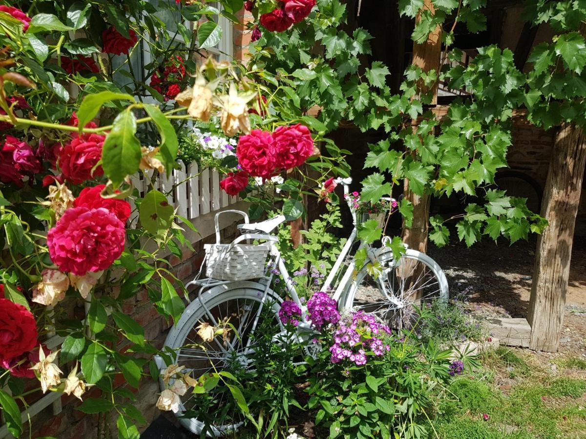 Romantisches Rosencottage Hofheim in Unterfranken ภายนอก รูปภาพ
